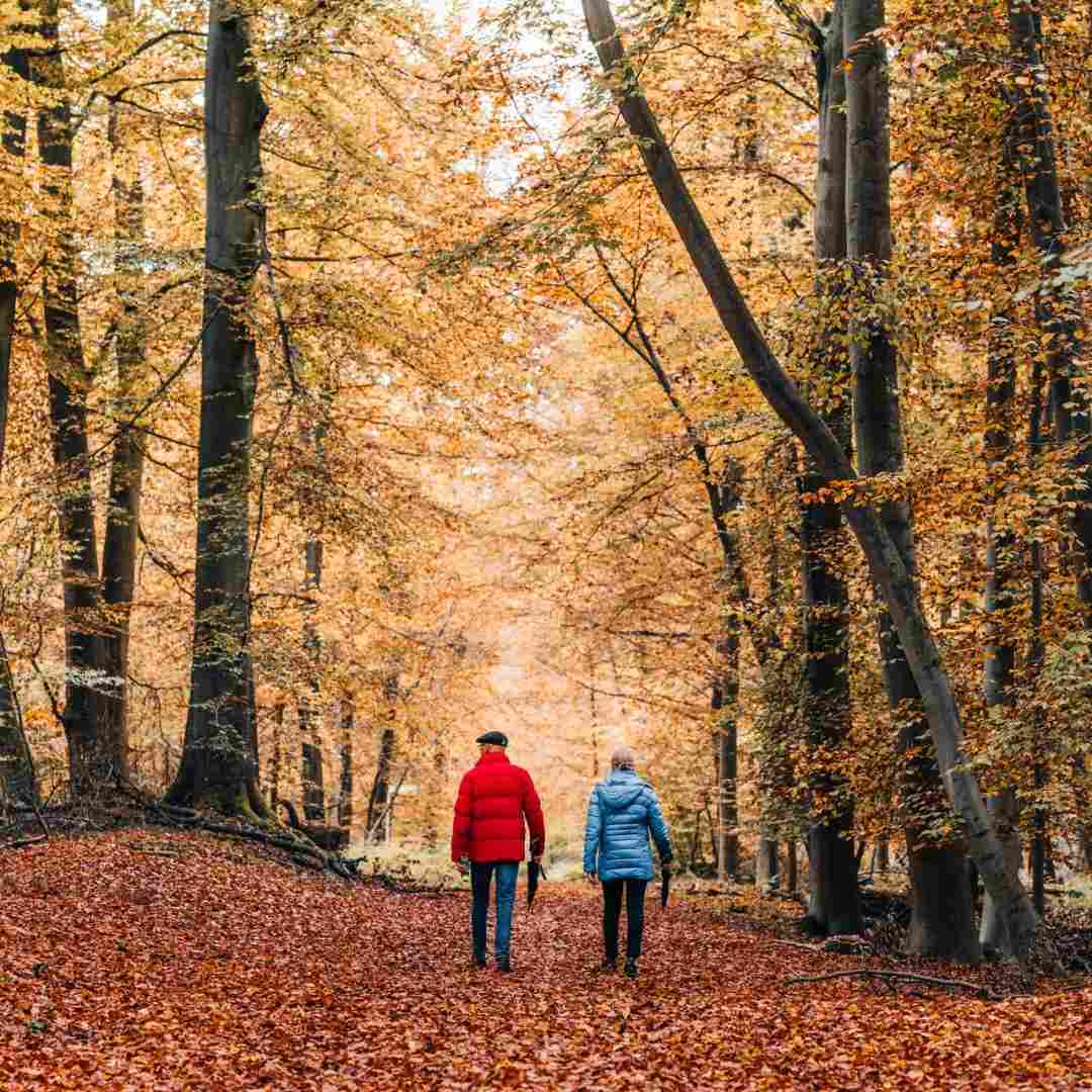 two people walking through an autumn forest