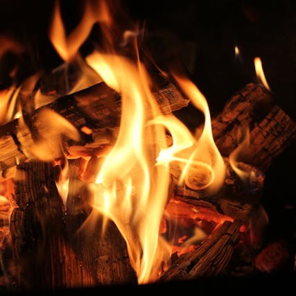 Flaming wood logs burning in a fire