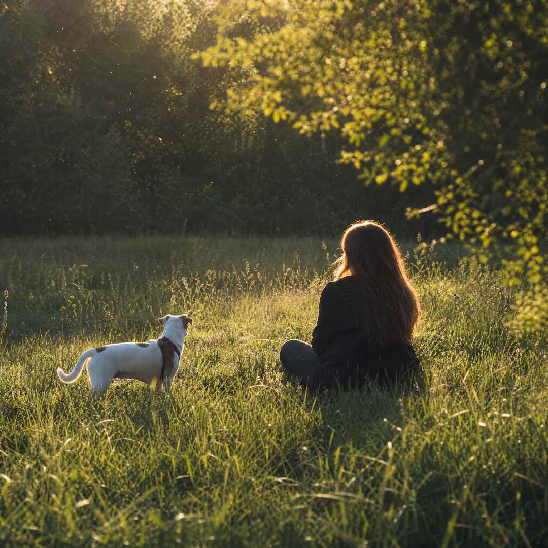 Woman sitting in a grassy field with a dog, surrounded by trees