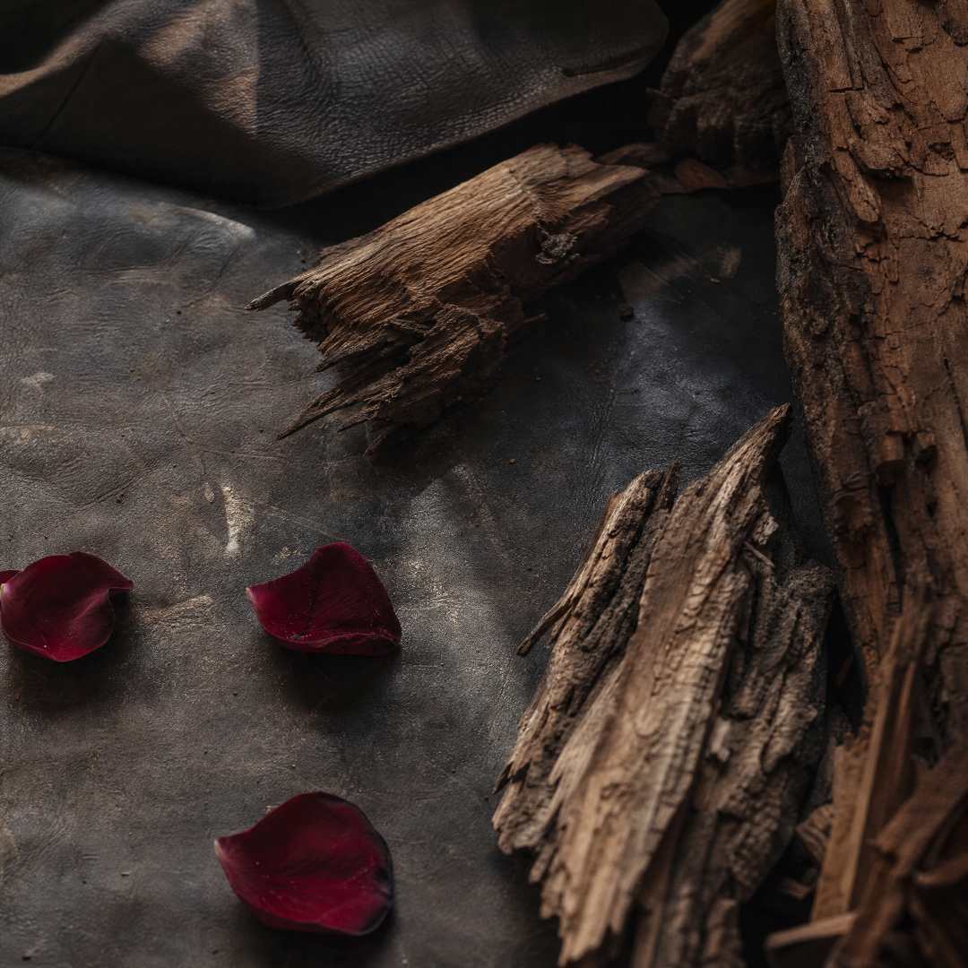 Red rose petals on a dark surface with wooden elements