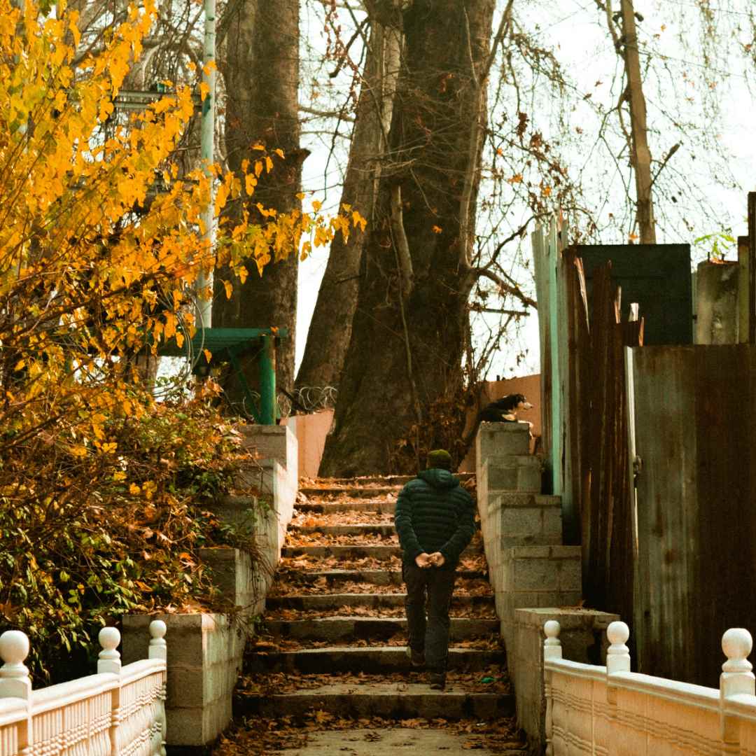 Person walking up a set of stairs in an autumnal setting with trees and leaves.