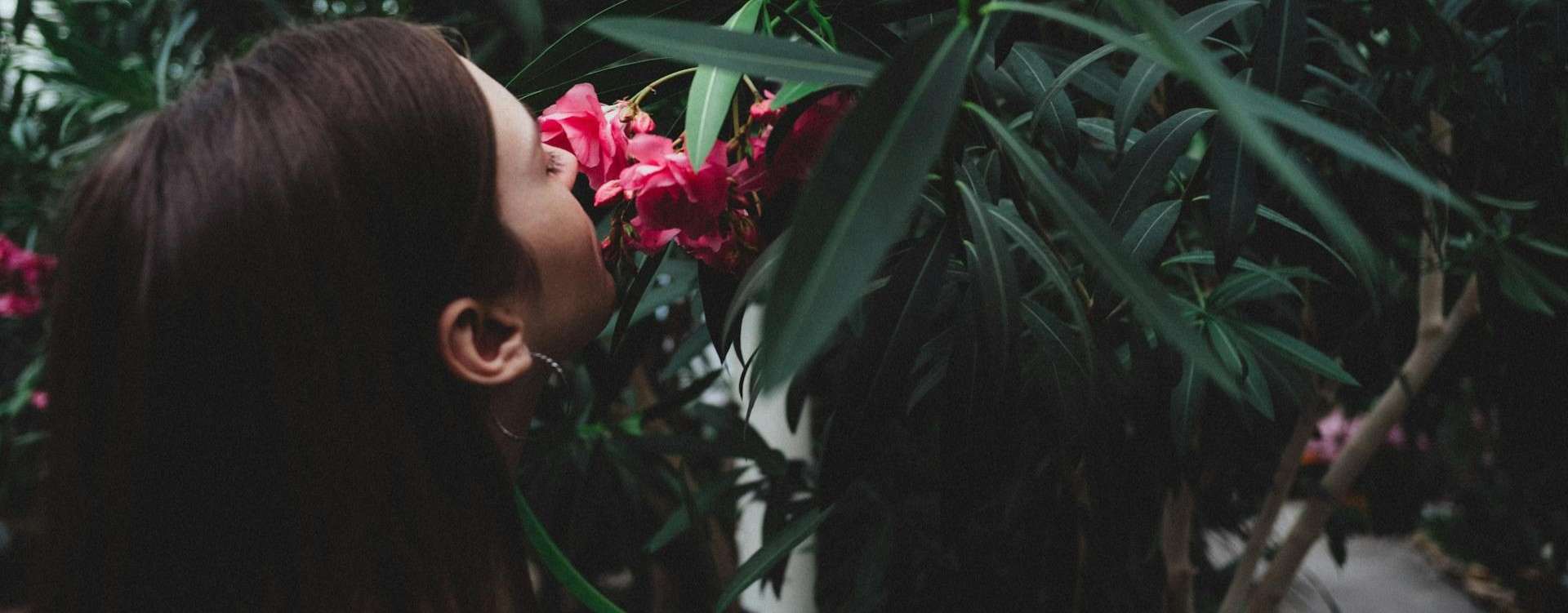 Lady smelling a pink flower on a green bush