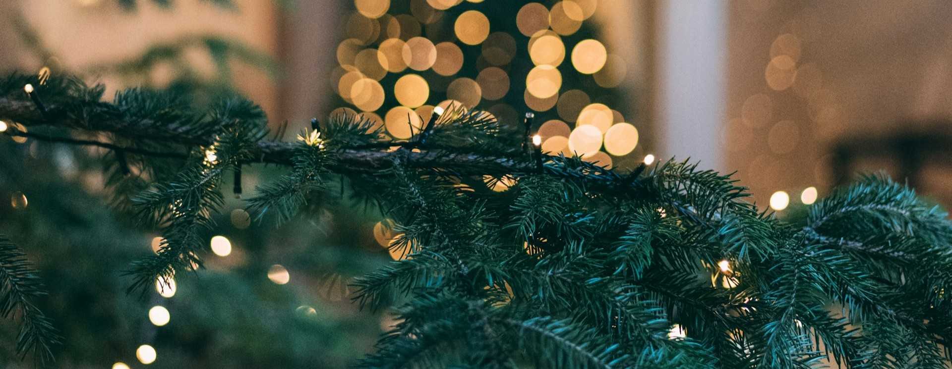 Decorative Christmas tree with lights against a blurred festive background