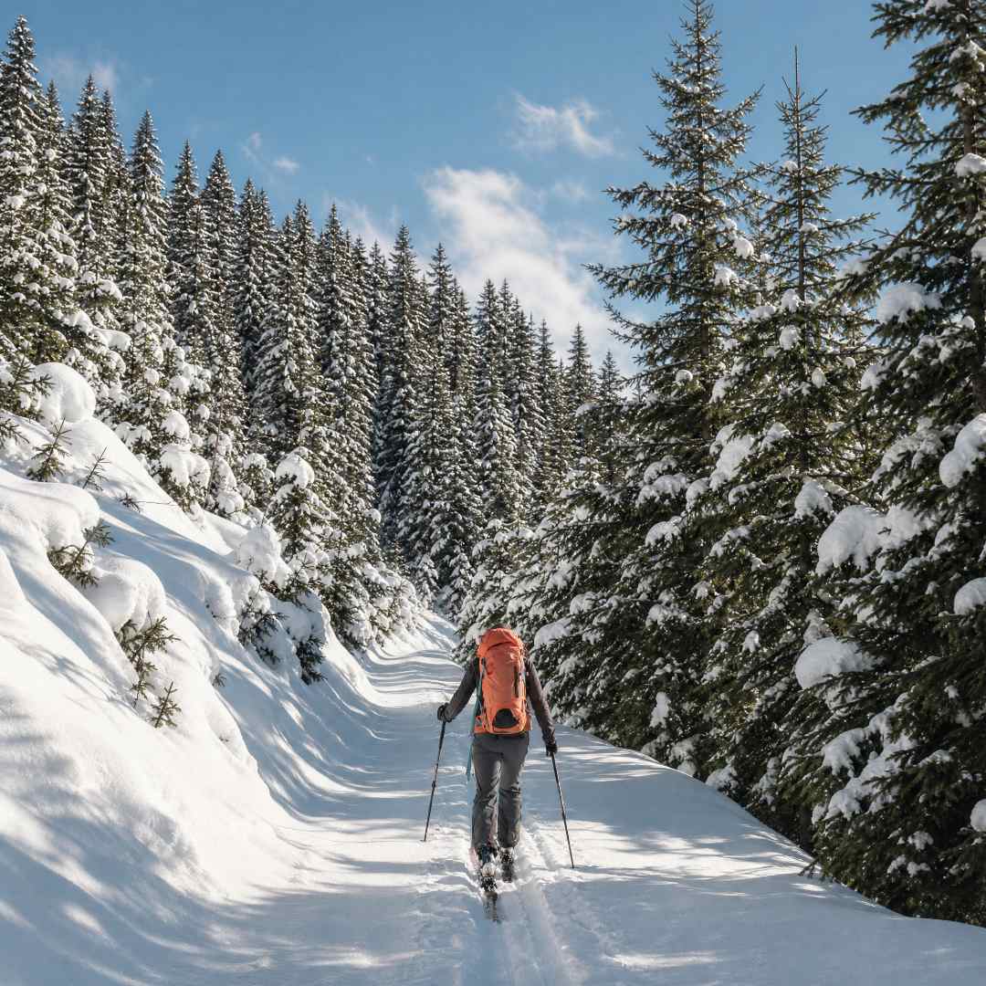 Person cross-country skiing through a snowy forest with clear blue sky.
