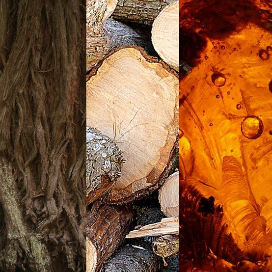 Collage of three images: textured wood surface, stacked logs, and amber-colored liquid with bubbles.