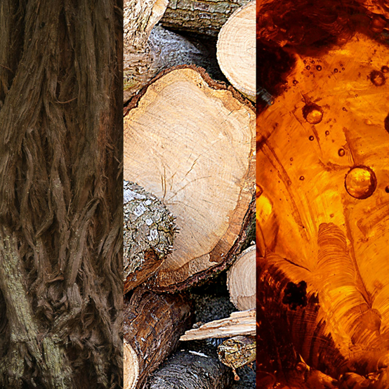 Collage of three images: textured wood surface, stacked logs, and amber-colored liquid with bubbles.